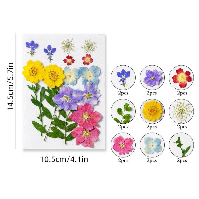 Bluejw DIY Dried Pressed Flowers for Resin Art, Makeup, Crafts - Natural Mixed Plants Kit for Christmas & Mother's Day - Image 1