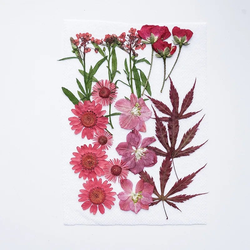 Bluejw DIY Dried Pressed Flowers for Resin Art, Makeup, Crafts - Natural Mixed Plants Kit for Christmas & Mother's Day - Image 5