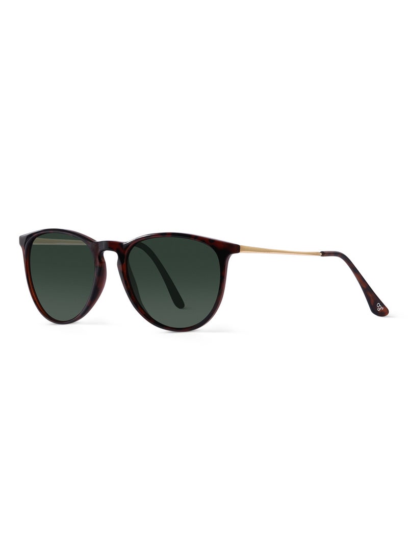 Woggles - Mint Condition Polarized Clubmaster Sunglasses - Image 1