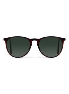 Woggles Mint Condition Polarized Clubmaster Sunglasses  - Image 4