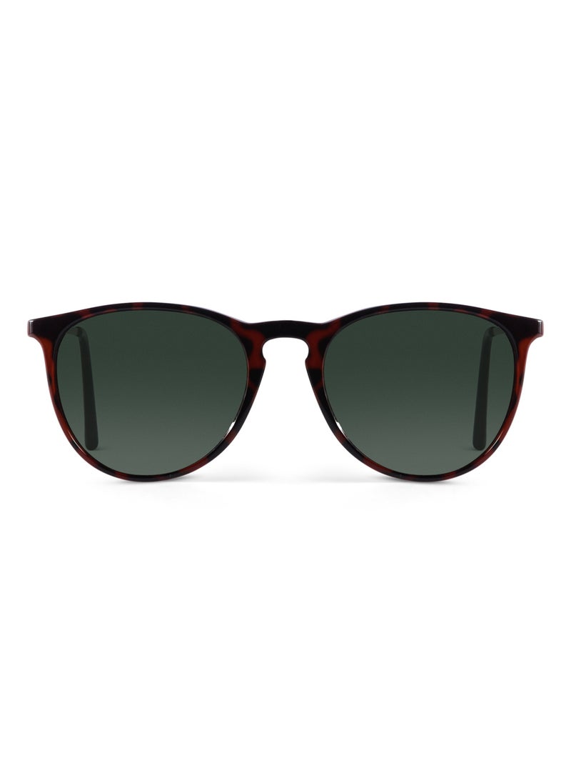 Woggles - Mint Condition Polarized Clubmaster Sunglasses - Image 1