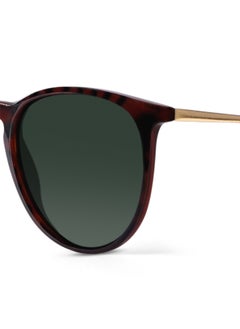 Woggles Mint Condition Polarized Clubmaster Sunglasses  - Image 3