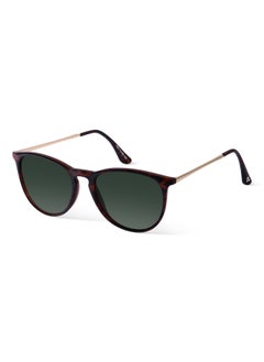 Woggles Mint Condition Polarized Clubmaster Sunglasses  - Image 1