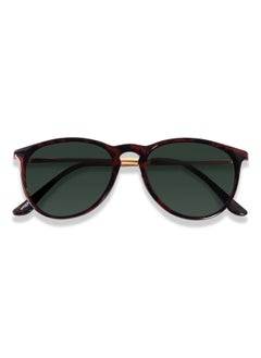 Woggles Mint Condition Polarized Clubmaster Sunglasses  - Image 5