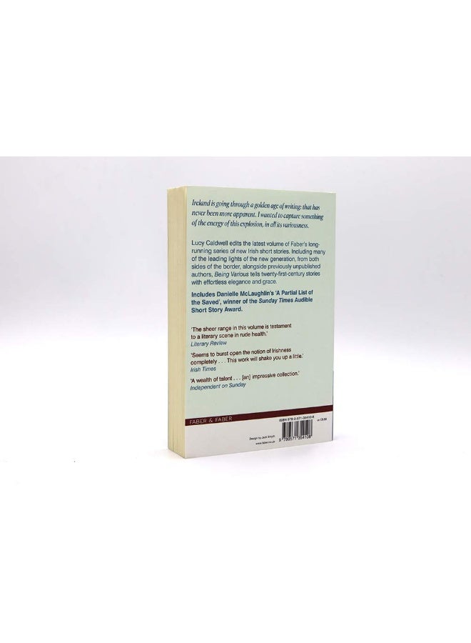 Being Various: New Irish Short Stories - Image 3