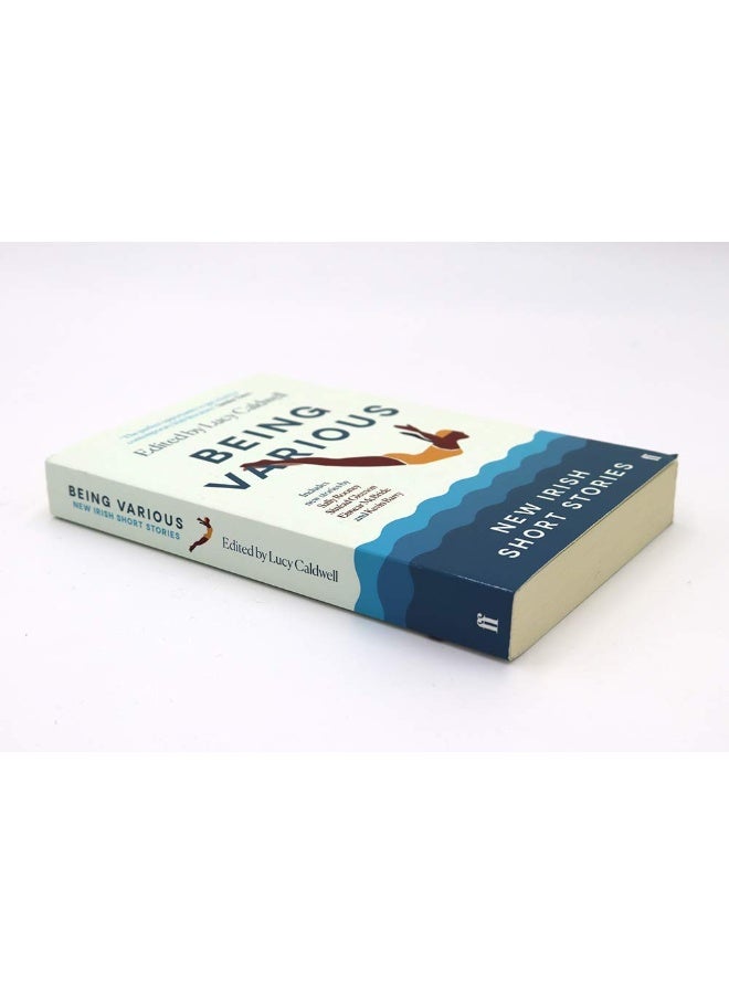 Being Various: New Irish Short Stories - Image 4