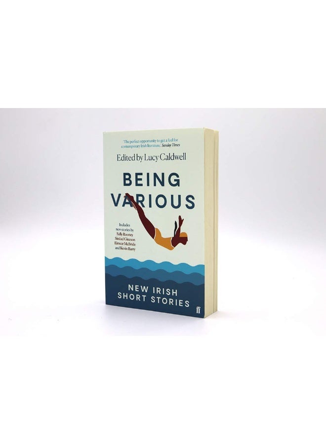Being Various: New Irish Short Stories - Image 2