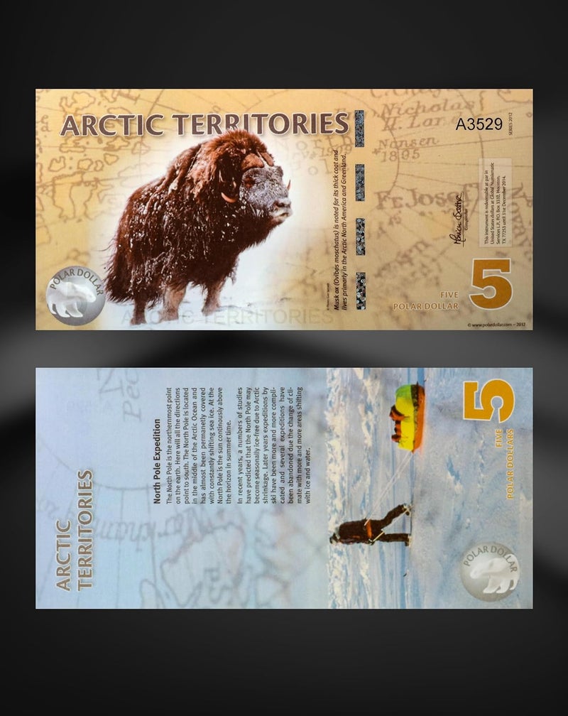 Arunrajsofia Store Fantasy Money of Arctic Territories for Collection (5 Polar Dollars) - Image 3