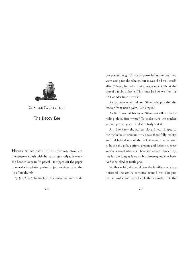 تورتل مون - Image 5