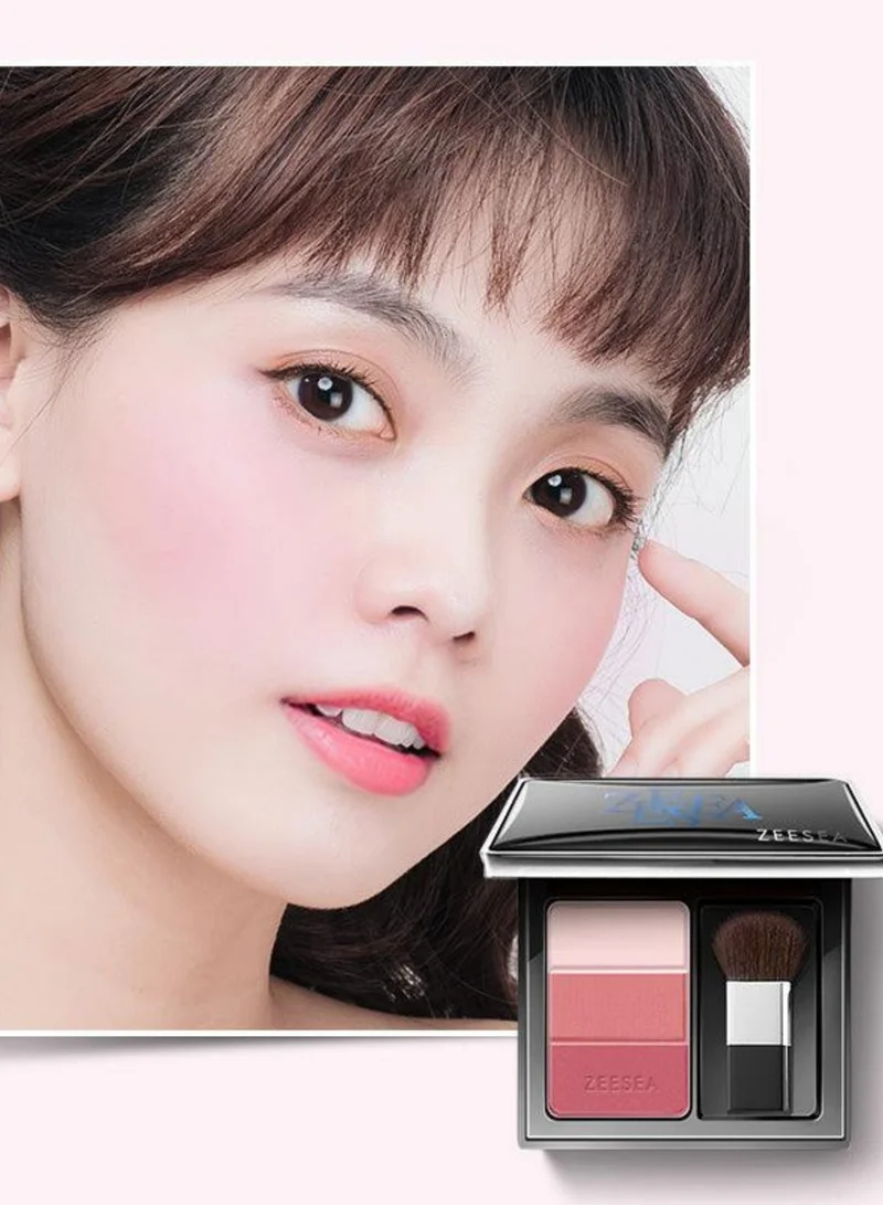 ZEESEA ZEESEA 3-Color Concealer Blusher - Midnight Rose