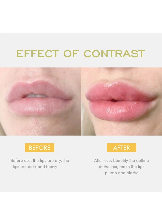 كيس بيوتي ممتلئ الجسم الشفاه تكبير ، نعناع مقتطفات الشفاه ممتلئة المكبر يجعل الشفاه ممتلئة للنساء - Image 3