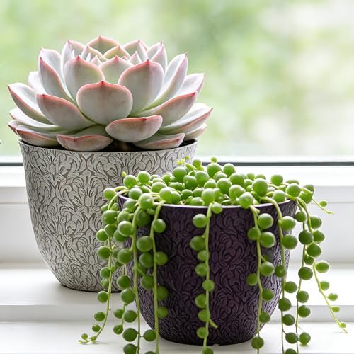 Worth Garden Plastic Round 8 Plant Pots for Indoor Plants Set of 6 Multicolor Small Flower Pots WDrainage Hole and Rubber Plug Home Christmas Decorative planters Retro Floral Pattern - Image 3