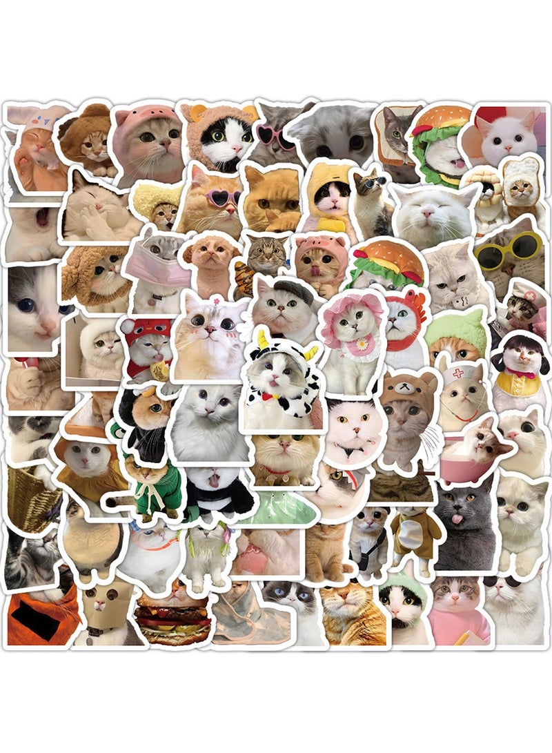 100 Pcs Cat Stickers, Cute Cat Stickers Funny Cat Meme Vinyl Waterproof Stickers for Adults Teens - Image 1