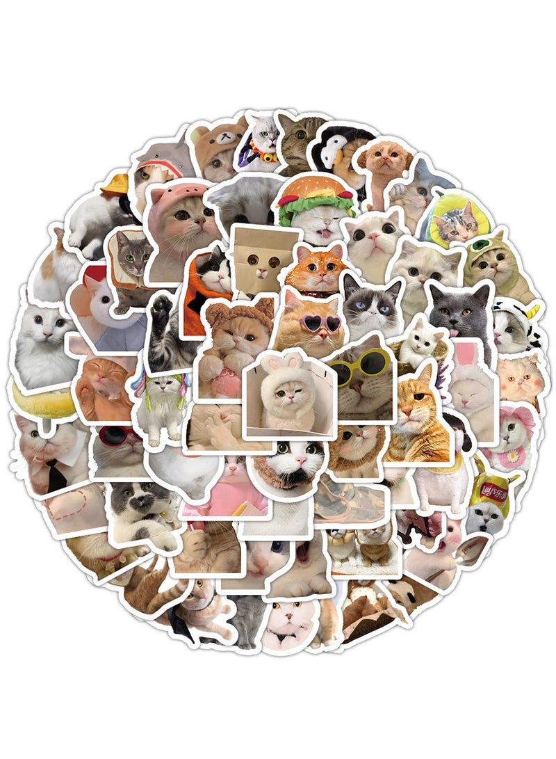100 Pcs Cat Stickers, Cute Cat Stickers Funny Cat Meme Vinyl Waterproof Stickers for Adults Teens - Image 4