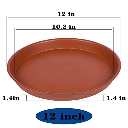 Bleuhome 6 Pack of 12 inch Plant Saucer, Heavy Duty Plastic Planter Saucer 12" Round, Plant Tray for Pots, Flower Pot Saucers for Indoors, Flower Trays for Planter 11"/12" (12 inch, Terracotta) - Image 2