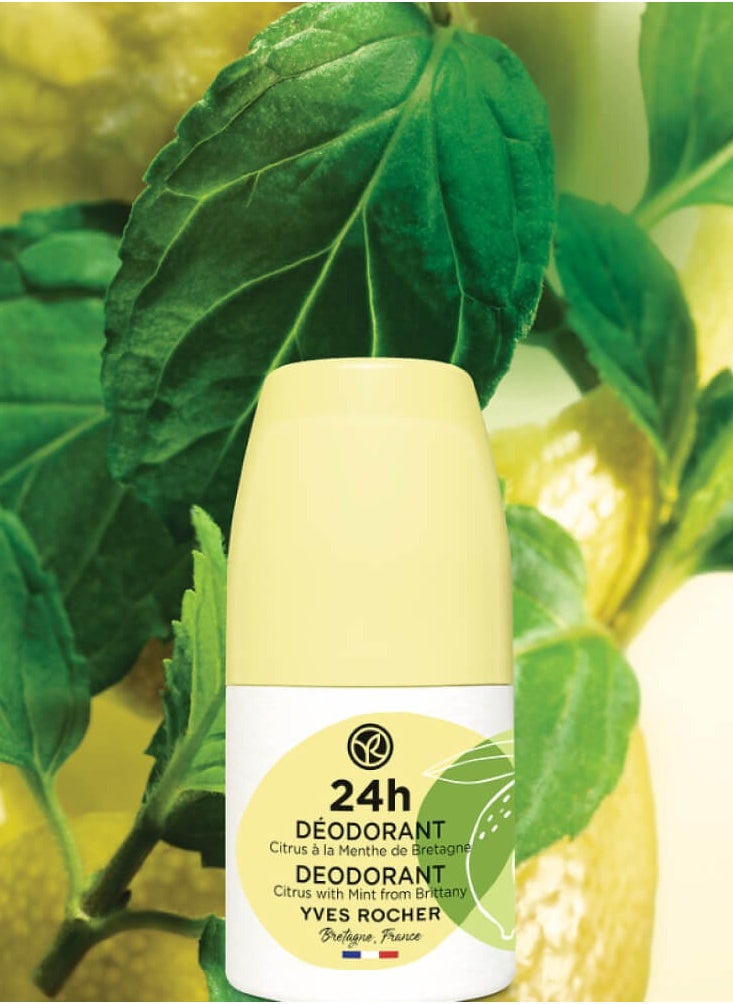 Yves Rocher 24H Deodorant Citrus with Mint from Brittany  - Image 3