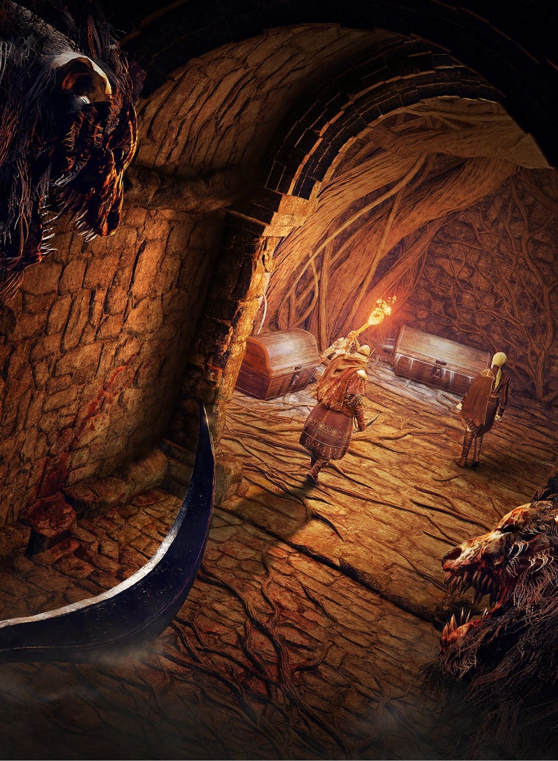 Elden Ring: Nightreign - PlayStation 5 (PS5)