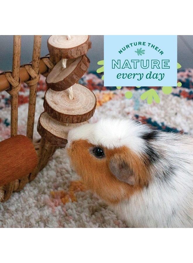 أوكسبو مجموعة حفلات Oxbow Enriched Life Natural Dangly - لعبة صغيرة للحيوانات الأليفة - رائعة لخنازير غينيا والأرانب والحيوانات الصغيرة الأخرى - Image 3