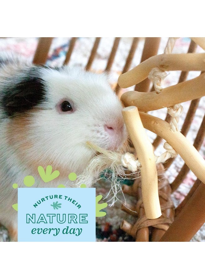 أوكسبو مجموعة حفلات Oxbow Enriched Life Natural Dangly - لعبة صغيرة للحيوانات الأليفة - رائعة لخنازير غينيا والأرانب والحيوانات الصغيرة الأخرى - Image 2