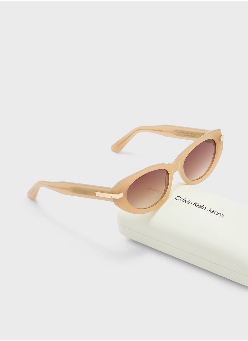 CALVIN KLEIN Cat Eye Sunglasses  - Image 5