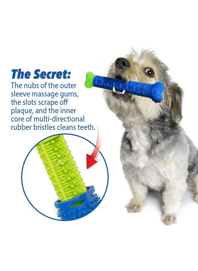 BulbHead Chewbrush Toothbrush and Toy - No Dog Toothpaste Required - Great Teeth Cleaning Toy (1 Pack) - Image 4