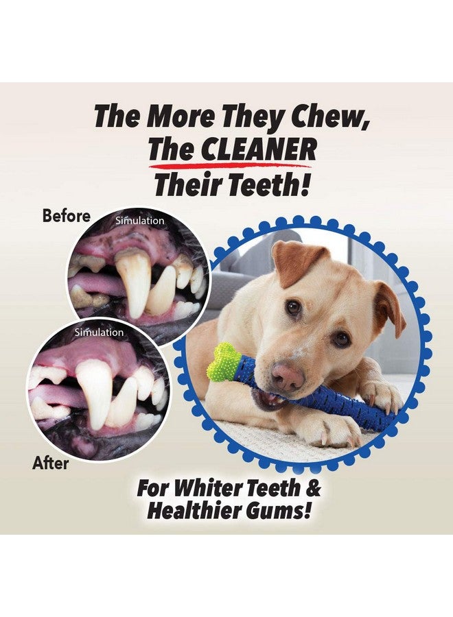 BulbHead Chewbrush Toothbrush and Toy - No Dog Toothpaste Required - Great Teeth Cleaning Toy (1 Pack) - Image 5