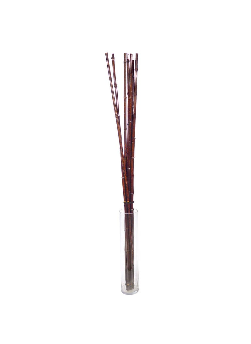 JADES Jades Dried Bamboo Bunch Pack of 10 Sticks Brown 