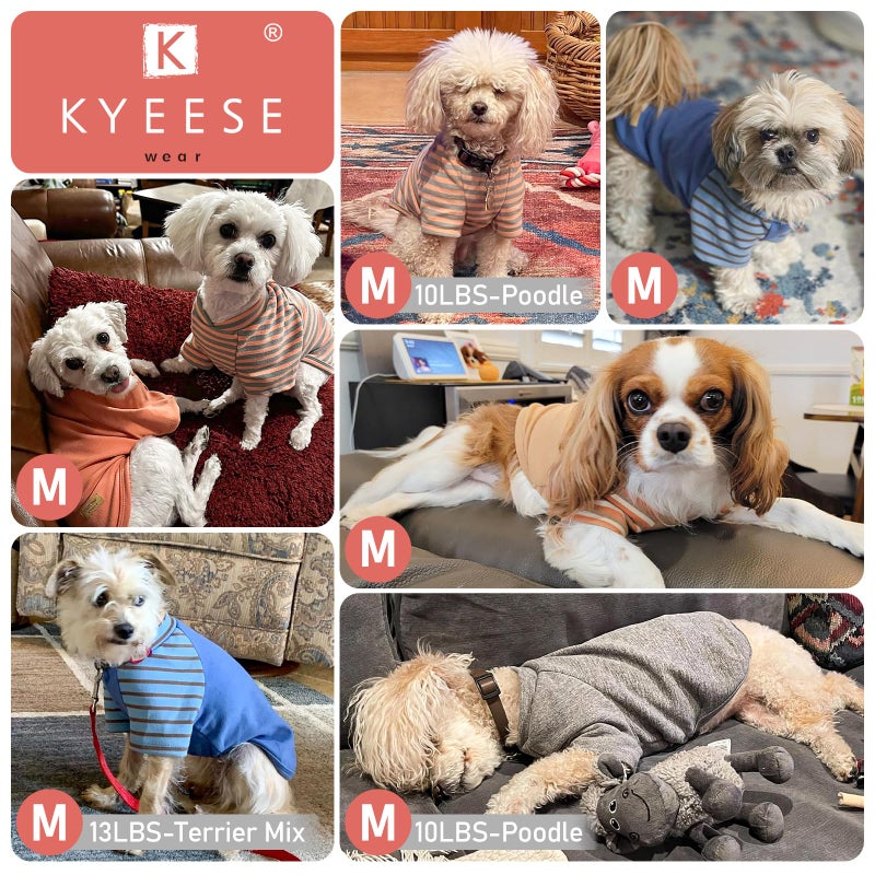 KYEESE 3Pack Dog Sweater, Soft Puppy Sweatshirt Stretchy Pullover Dog Sweater for Small Dogs Girl Boy, Lightweight Fleece Cat Shirt Pet Clothes with Sleeves, M - Image 5