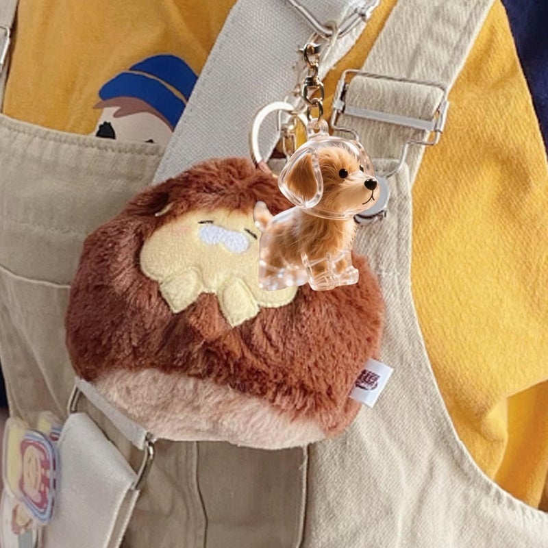 2 2/3 / 4/5 / 10Pcs Pet Keychain Built-in Hair Storage Case Memorial Charm for Grieving Dog Owners Clear Pet Hair Memorial Storage Pendants - Image 5