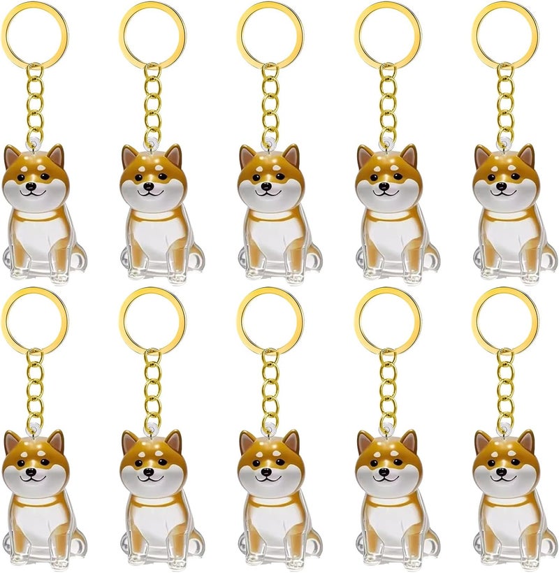 2 2/3 / 4/5 / 10Pcs Pet Keychain Built-in Hair Storage Case Memorial Charm for Grieving Dog Owners Clear Pet Hair Memorial Storage Pendants - Image 1