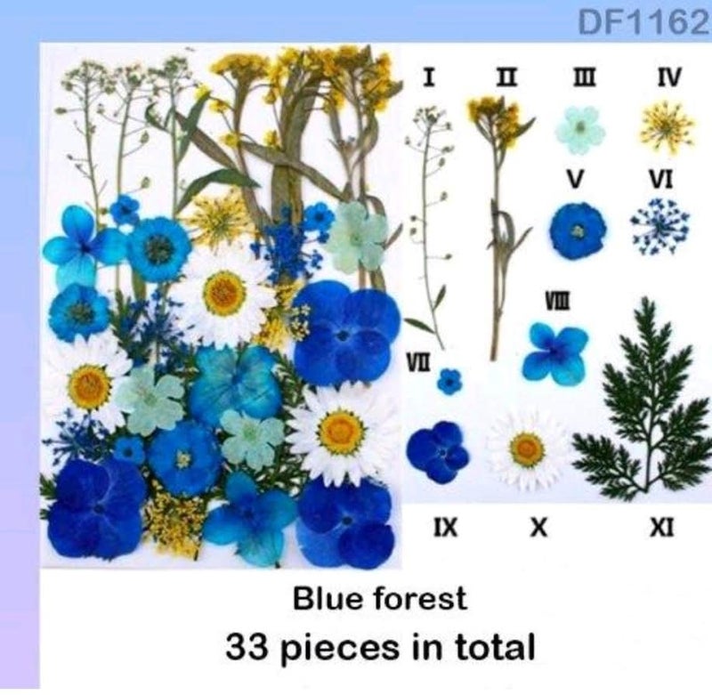 Eoast Natural Dried Flower for Resin Art Decorative| for Candle|Handmade Epoxy Crafts| DIY Jewelry |Photoframe Ornament | Resin Art|SOAP Making -Assorted (DF116-2 Press Sheet) - Image 1