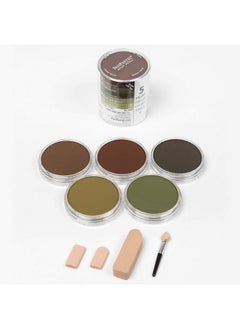 30058 Ultra Soft Artist Pastel 5 Color Set Earth Colors W/Sofft Tools - pzsku/ZEE936F7D01C35AE8A1F9Z/45/_/1721574226/6665f2c3-4543-45d9-986d-101c7648f8b4