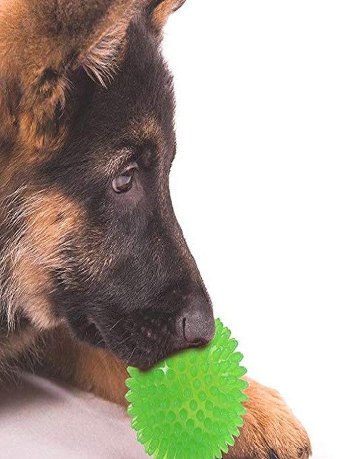 PETLICIOUS & MORE لعبة كرة شائكة للكلاب من بيتليشوس آند مور - كرة مضغ - أخضر - Image 4