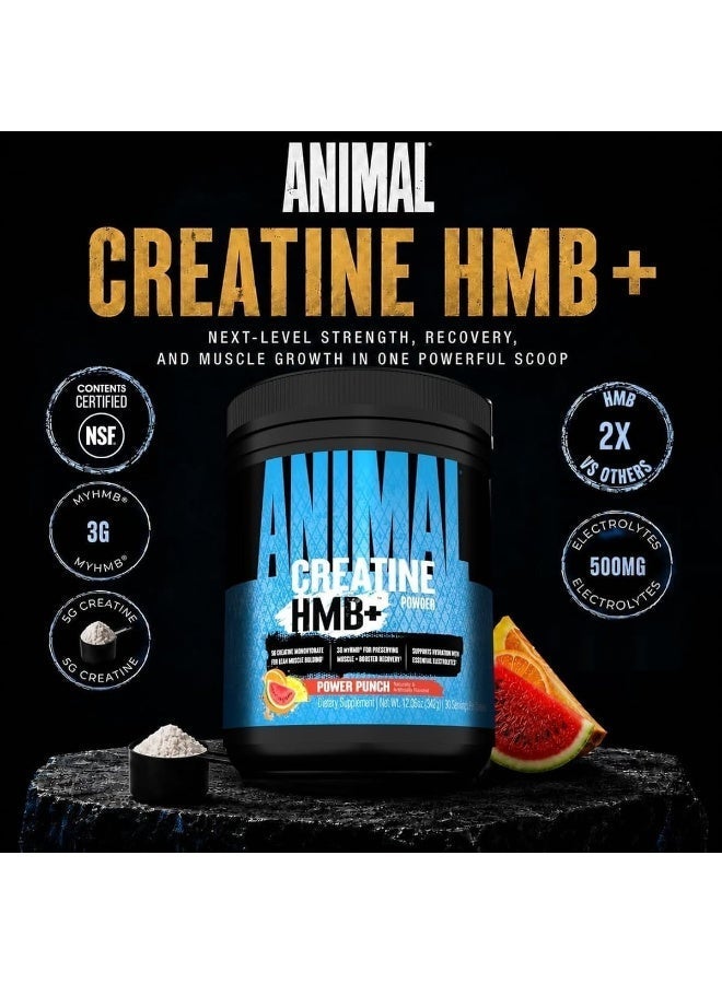 ANIMAL Creatine HMB+ Powder, Power Punch, 342g, 5g Creatine Monohydrate + 3g myHMB, Electrolytes, 30 Servings - Image 4