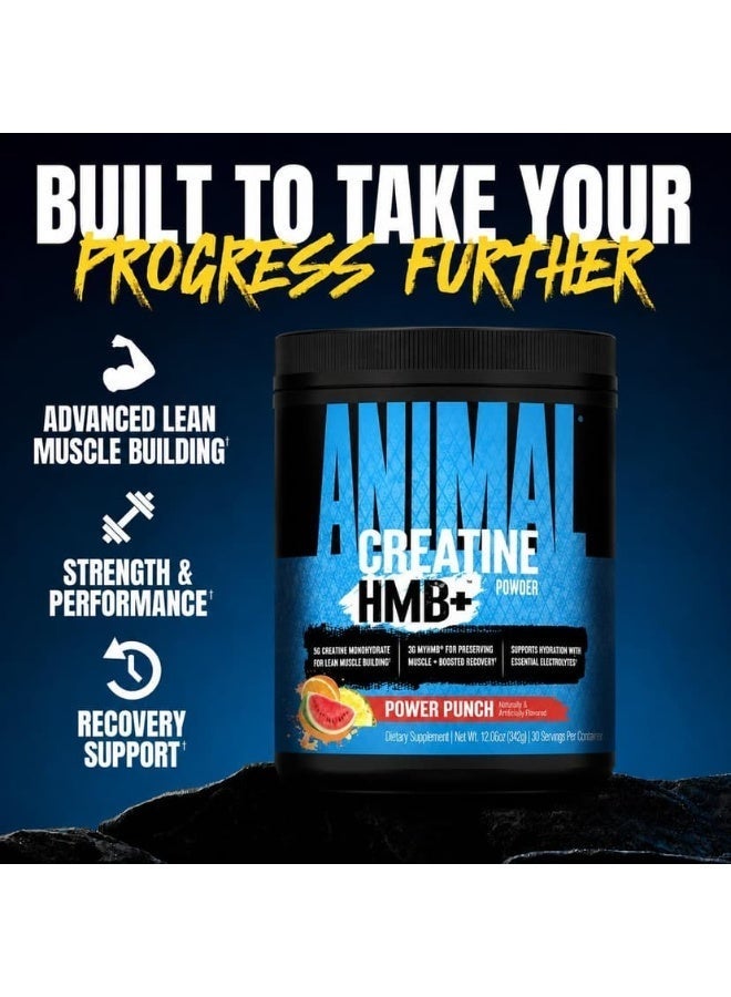 ANIMAL Creatine HMB+ Powder, Power Punch, 342g, 5g Creatine Monohydrate + 3g myHMB, Electrolytes, 30 Servings - Image 3