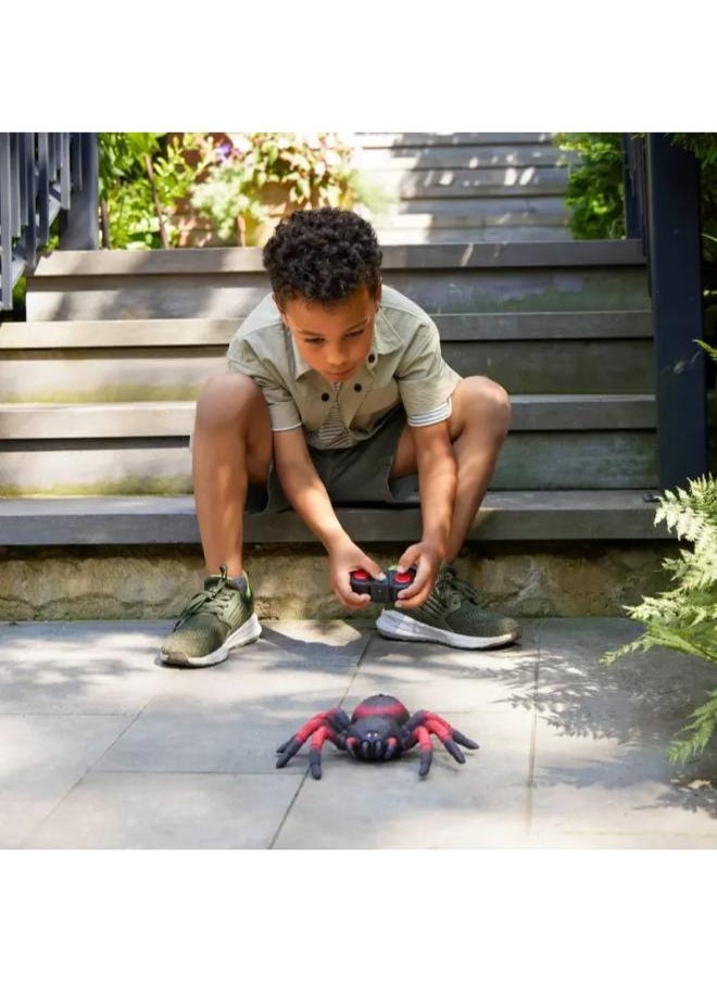Terra by Battat – Remote Control Infrared Light-Up Spider – Tarantula