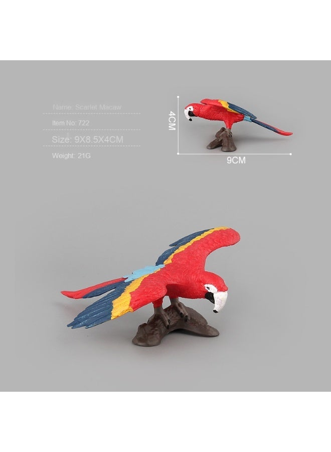 NIBEMINENT Realistic Parrot Model Toy - Exquisite Decoration Piece