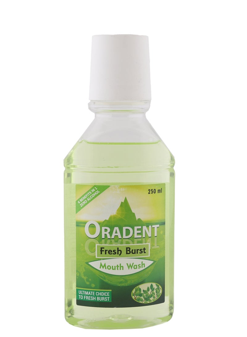 ORADENT Fresh Burst Mouth Wash - Image 2