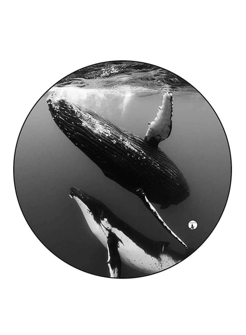 RKN Whales Printed Mouse Pad Round  Multicolour