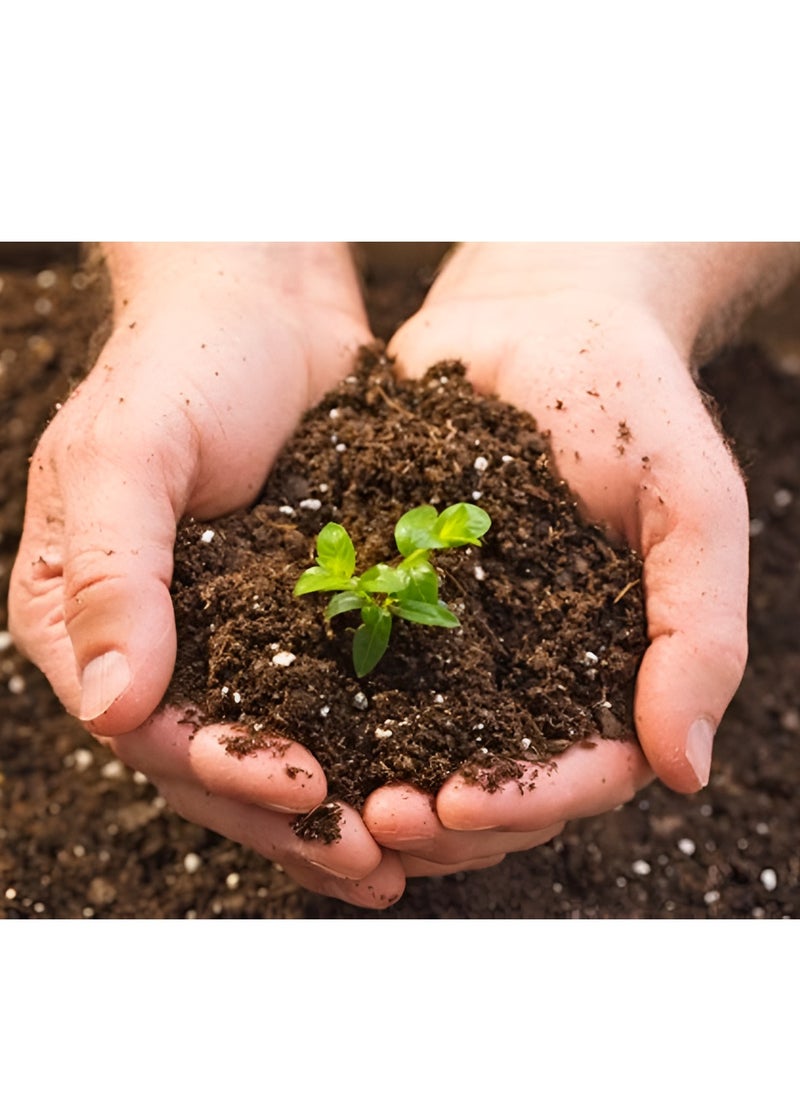 ABBASALI Potting Soil For Plant 5kg Pack  - Image 4