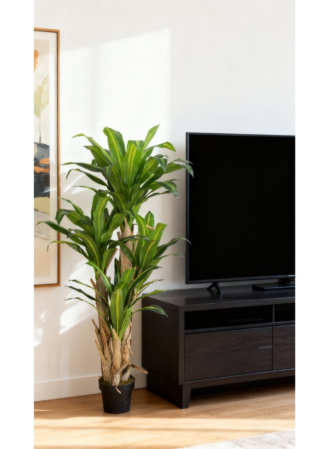 ايست من نون شجرة دراسينا الاصطناعية بارتفاع 160 سم (5.2 قدم) مع وعاء | نبات أرضي بتصميم وملمس واقعي - أخضر | شجرة بت texture طبيعي زخرفي للمنزل، غرفة المعيشة، غرفة الدراسة ومكاتب العمل - Image 3