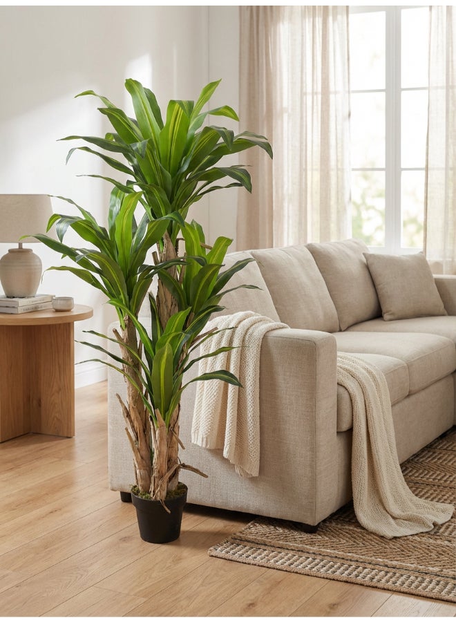 ايست من نون شجرة دراسينا الاصطناعية بارتفاع 160 سم (5.2 قدم) مع وعاء | نبات أرضي بتصميم وملمس واقعي - أخضر | شجرة بت texture طبيعي زخرفي للمنزل، غرفة المعيشة، غرفة الدراسة ومكاتب العمل - Image 2