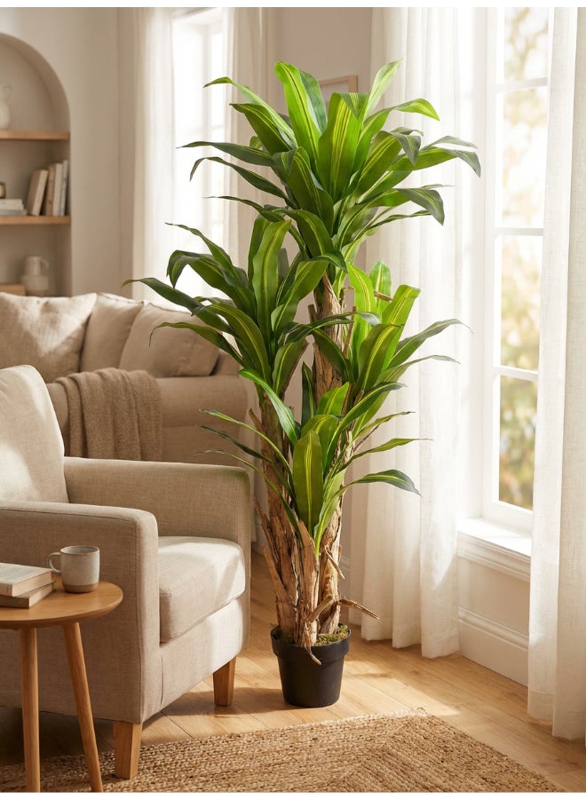 Dracaena 160cm (5.2 ft) Tall Artificial Tree with Pot | Floor Plant with Lifelike Design & Texture - Green | Decorative Natural Texture Tree for Home, Living Room, Study & Office spaces
