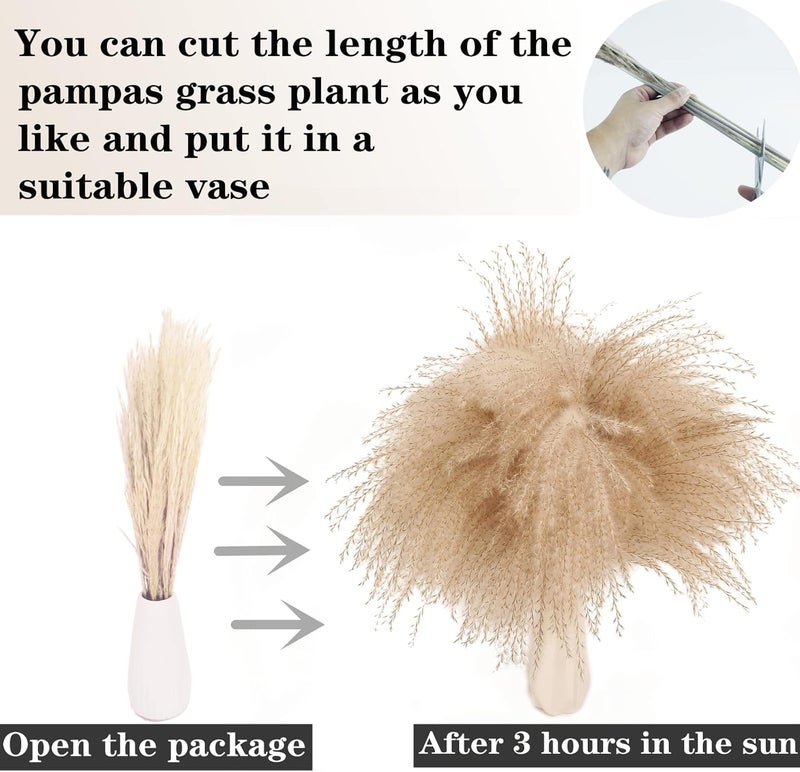 ANPROOR Natural Dried Pampas Grass Decor, Brown Pampas Grass， Bunny Tails Dried Flowers, Reed Grass Bouquet for Wedding Boho Flowers Home Table Decor, Fall Decor，Rustic Farmhouse Party (100 in Total ) - Image 4