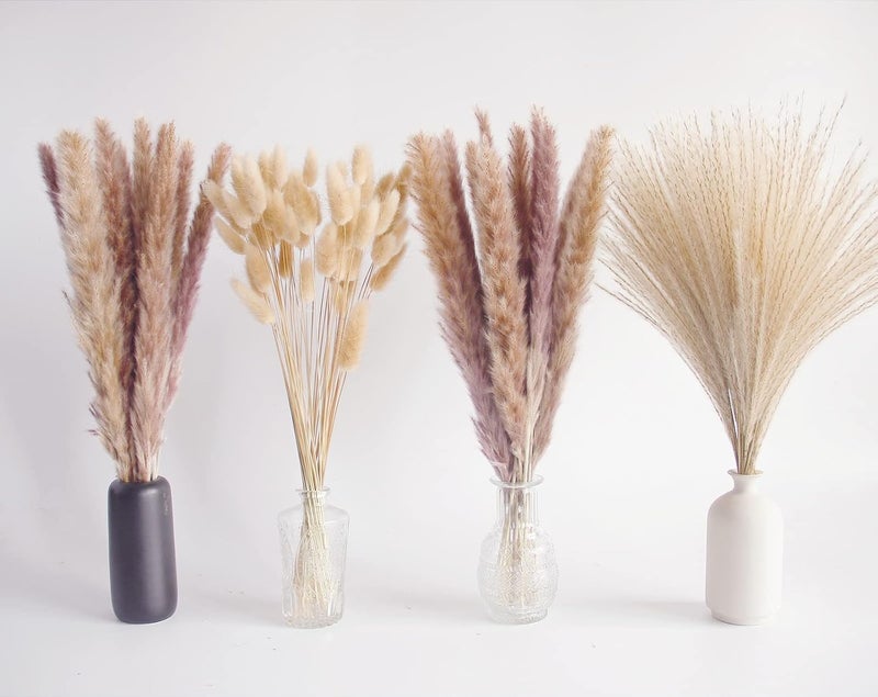 ANPROOR Natural Dried Pampas Grass Decor, Brown Pampas Grass， Bunny Tails Dried Flowers, Reed Grass Bouquet for Wedding Boho Flowers Home Table Decor, Fall Decor，Rustic Farmhouse Party (100 in Total ) - Image 5