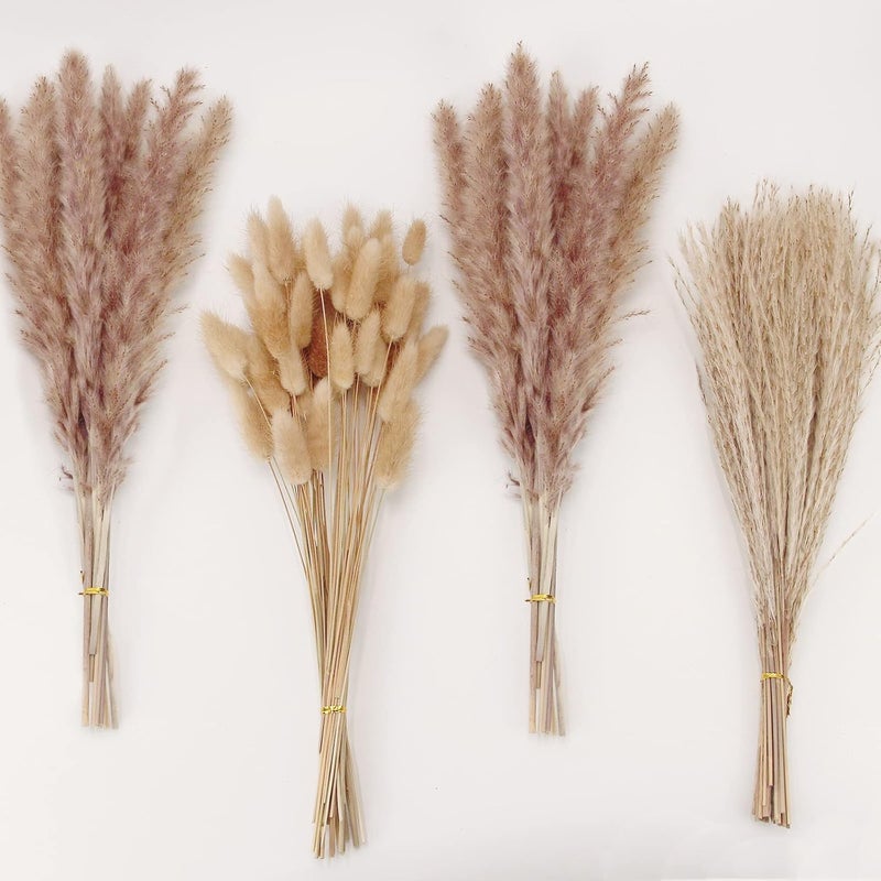 ANPROOR Natural Dried Pampas Grass Decor, Brown Pampas Grass， Bunny Tails Dried Flowers, Reed Grass Bouquet for Wedding Boho Flowers Home Table Decor, Fall Decor，Rustic Farmhouse Party (100 in Total ) - Image 1