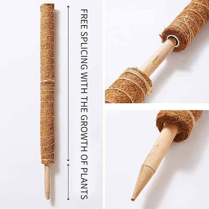 ويوبلز عمود طحلب - أعمدة طحلب بطول 12/16/20 بوصة لنباتات مونستيرا، عبوة من قطعتين من عمود نبات جوز الهند الطبيعي لتسلق النباتات الداخلية المزروعة في أصص لتشجيع نموها لأعلى، وتوجيه النباتات الزاحفة للنمو لأعلى (12 بوصة) - Image 4