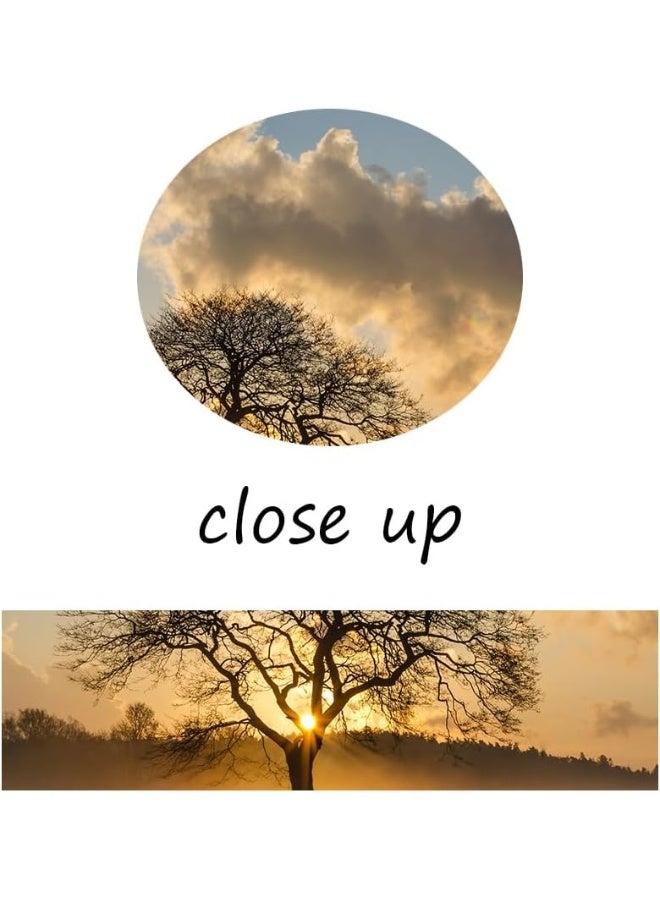 Home Trove Landscape Canvas Wall Art Lonely Tree At Sunrise In A Meadow Print Poster Wall Painting For Dining Room Modern Nature Scenery Wall Decor For Bedroom Home Office Framed And Stretched [18''Wx 24''H]  - Image 4