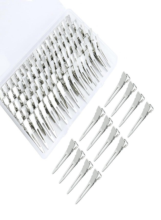 BLUSHIA Salon Hairdressing Sectioning Dividing Silver Metal Clips For Hair Styling (Small Section Clips (24 pcs) - Image 1