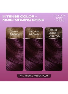 CLAIROL Bold & Bright Permanent Hair Dye V3 Intense Passion Plum Hair Color Pack Of 1  - Image 3